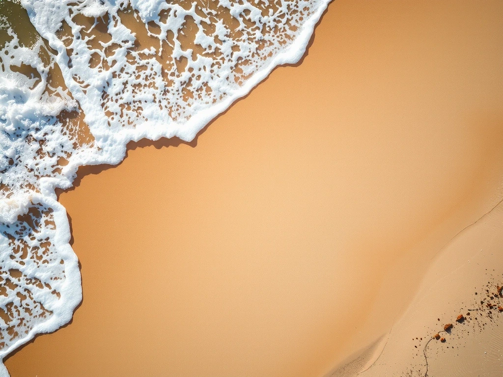 Philosophie Supplement Sport